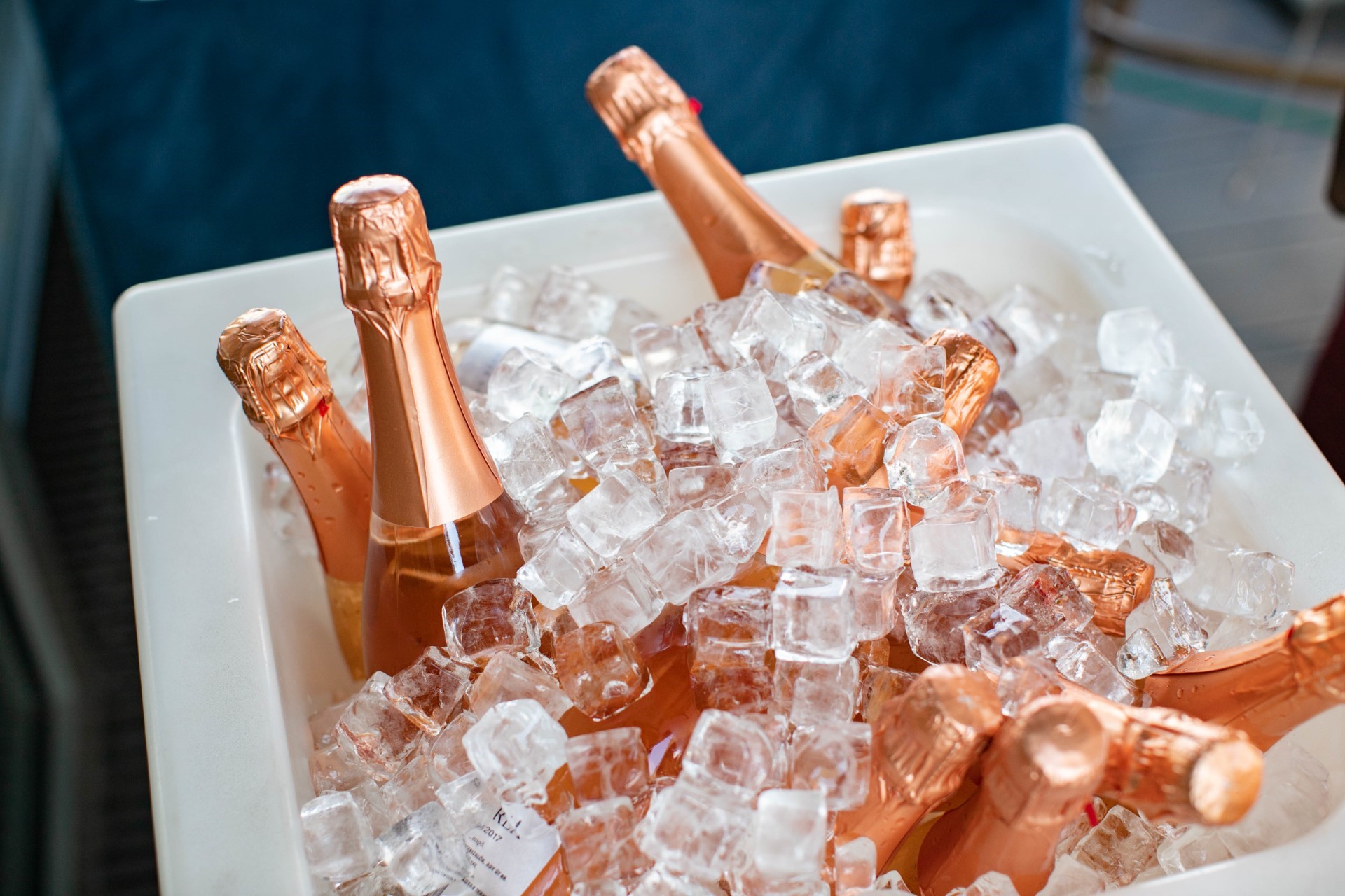 A Canissi már nem csak egy szabóság