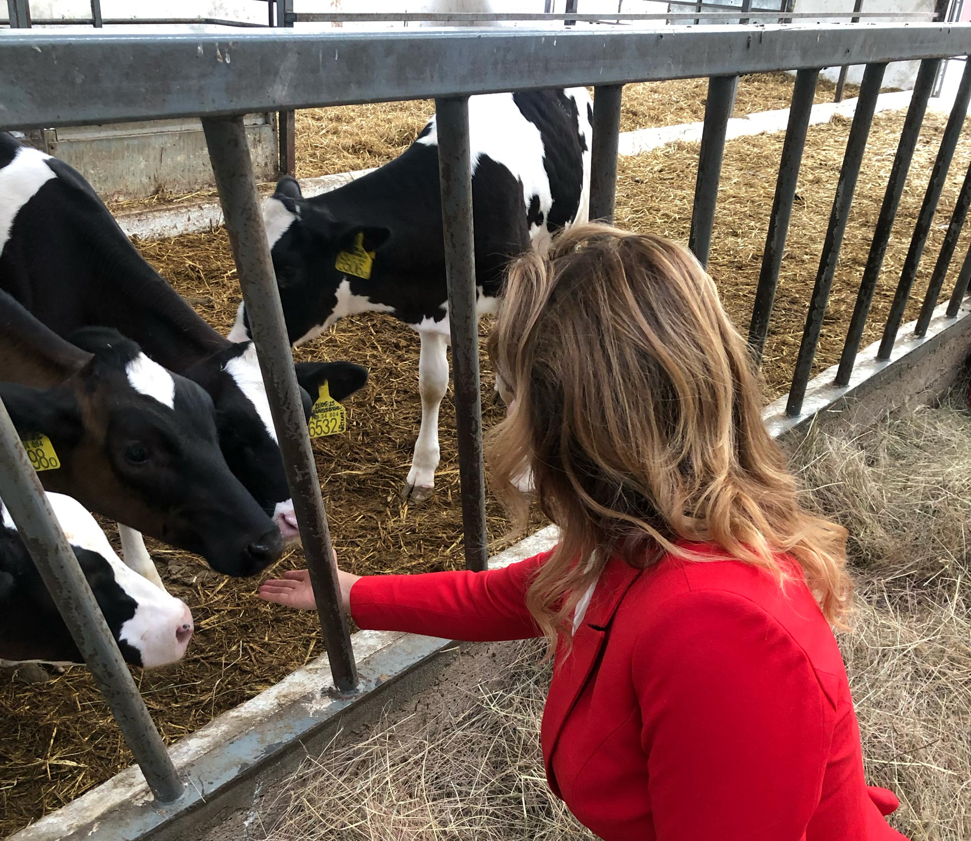 Magyarország legszebb birtoka