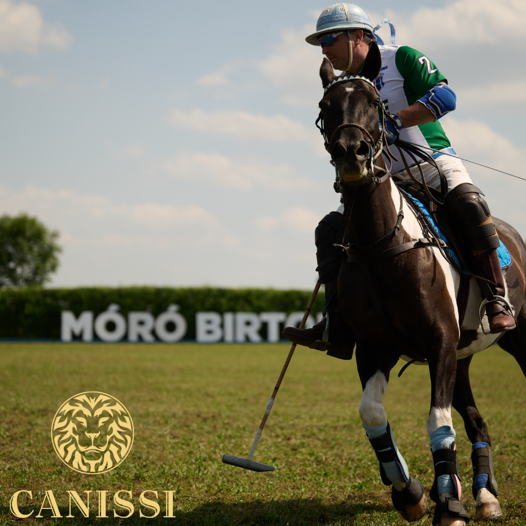 LOVASPÓLÓ – Az elegancia és a hagyományok összefonódása